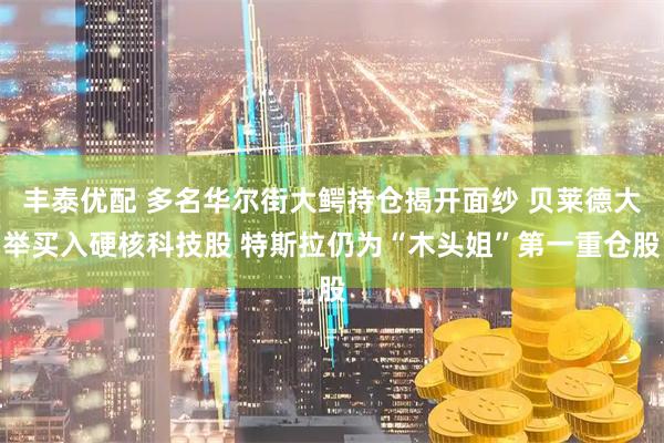 丰泰优配 多名华尔街大鳄持仓揭开面纱 贝莱德大举买入硬核科技股 特斯拉仍为“木头姐”第一重仓股