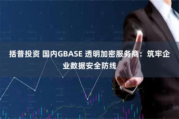 括普投资 国内GBASE 透明加密服务商：筑牢企业数据安全防线