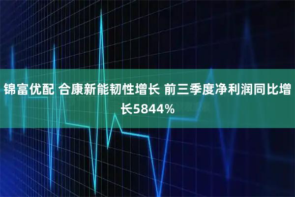 锦富优配 合康新能韧性增长 前三季度净利润同比增长5844%