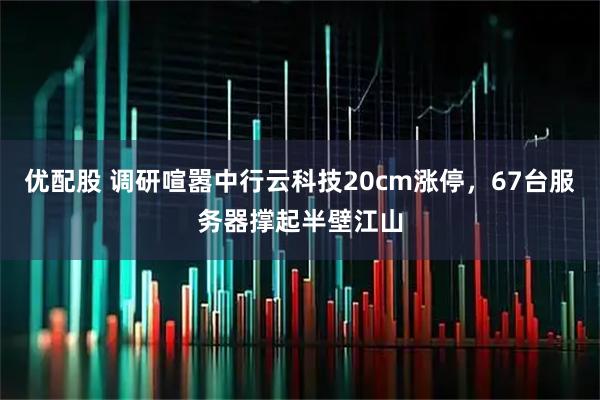 优配股 调研喧嚣中行云科技20cm涨停，67台服务器撑起半壁江山