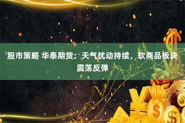 股市策略 华泰期货：天气扰动持续，软商品板块震荡反弹